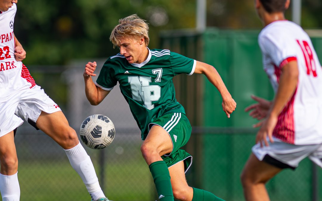 Matthew Schmidt is New Providence’s Union County Conference Male Athlete of the Week